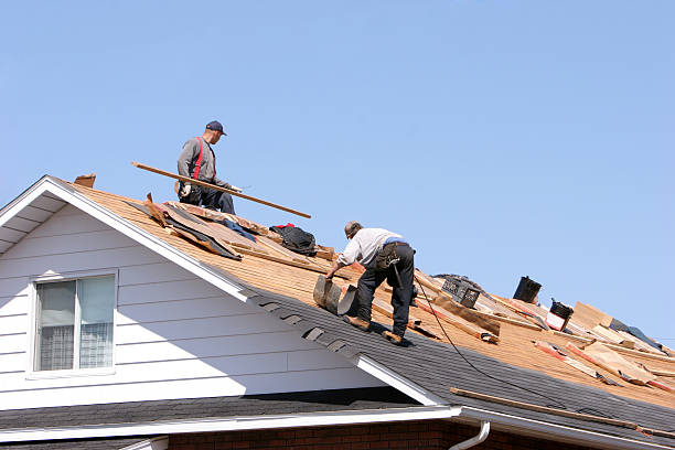 Best Storm Damage Roof Repair  in Dilkon, AZ