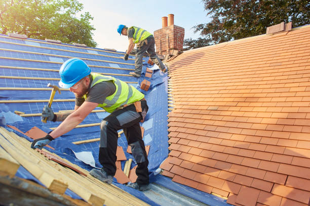 Professional  Roofing repair and installation in Dilkon, AZ